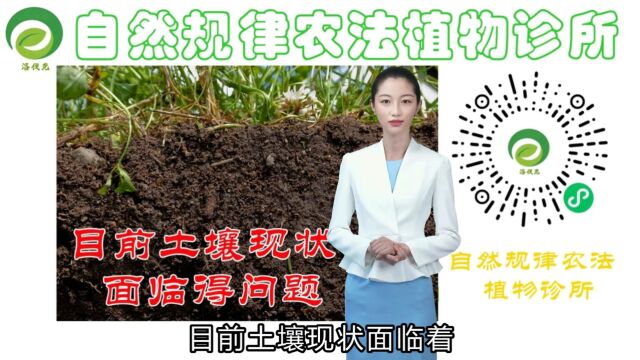 农学知识早知道:目前土壤现状面临得问题