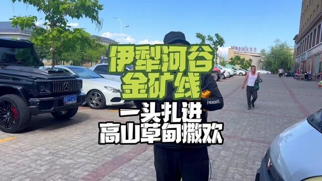 隐秘在伊犁河谷中的隐藏路线,直通一座金矿帮我打电话#新疆自驾游#独库公路 #越野穿越