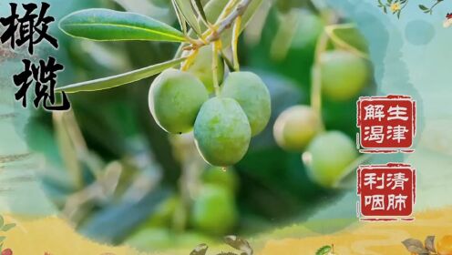 橄榄味酸性平，可生津液，有清肺利咽、生津解渴的功效