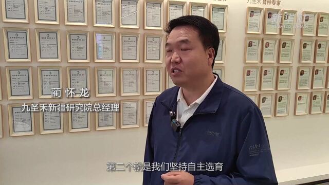 高质量发展调研行|新疆昌吉:加快科技创新 做强“农业芯片”