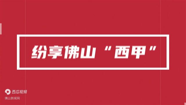 纷享佛山“西甲”——全国网络媒体城市形象采风行今天正式启动