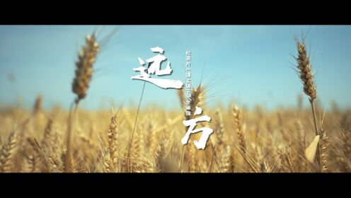 韩磊-远方（纪录片《塬上塬下》主题歌）