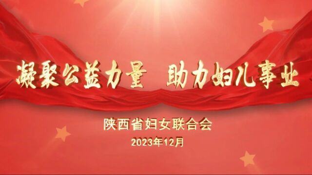 陕西省妇联举办深化改革推进会暨组织建设培训班