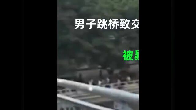 男子跳桥致交通拥堵五小时,被暴躁大爷一脚踹下桥,大爷:我这是见义勇为.社会百态万万没想到 1