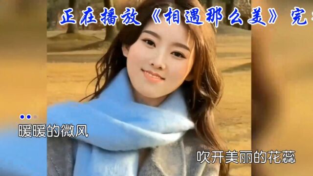 《相遇那么美》背后的创作故事,揭秘歌曲背后的故事