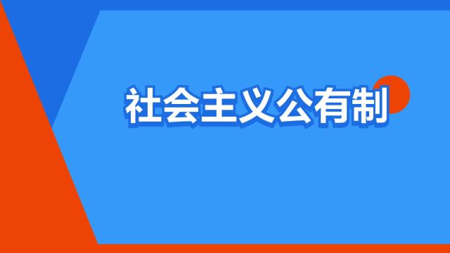 “社会主义公有制”是什么意思?