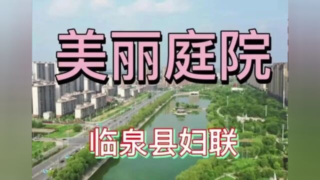 临泉陈集、土陂、白庙、庙岔、瓦店、韦寨、姜寨...刚拍下!看看可有你家~