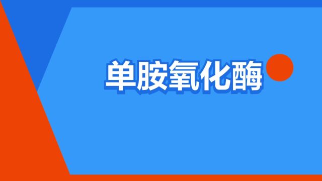 “单胺氧化酶”是什么意思?