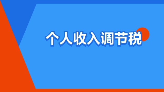 “个人收入调节税”是什么意思?