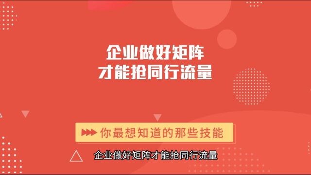 商业思维丨企业做好矩阵才能抢同行流量