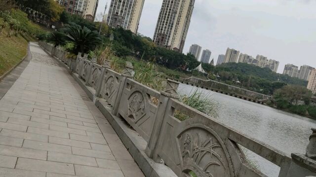 去荣昌莲花河边走走四