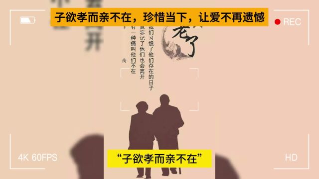 子欲孝而亲不在,珍惜当下,让爱不再遗憾