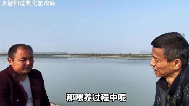 养殖螃蟹要怎么样容易出效益?