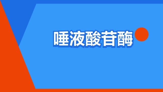 “唾液酸苷酶”是什么意思?