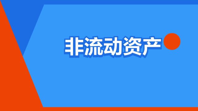 “非流动资产”是什么意思?