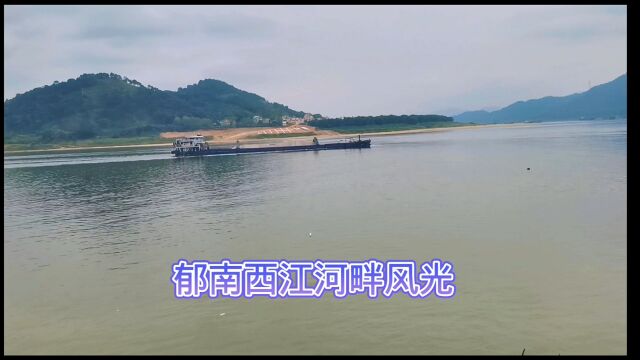 郁南西江河畔,青山绿水,秀丽如画,这景色会令你心旷神怡