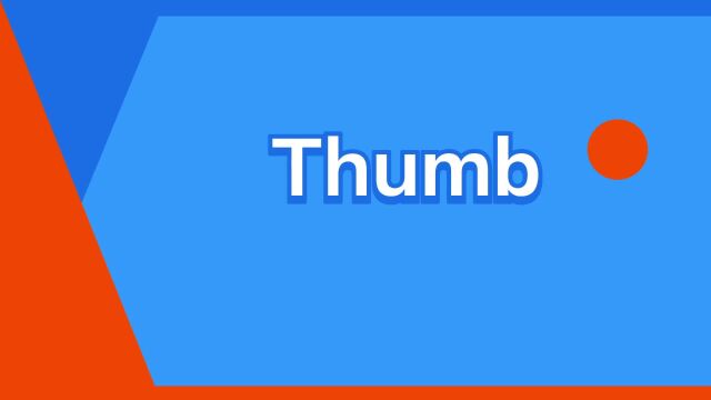 “Thumb”是什么意思?