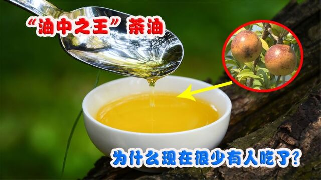 “油中之王”茶油,为什么现在很少有人吃了?是不好吃吗?