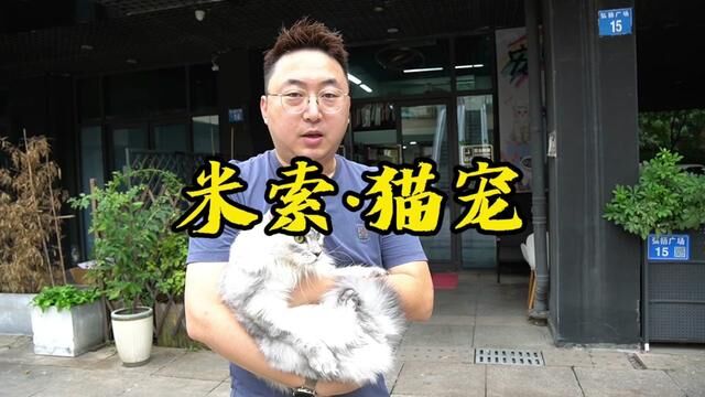 给猫洗澡的门道,今天带你探探路!#爱宠萌宠 #养宠 #养猫人 #猫咪洗护 #人人都是爱宠分享官