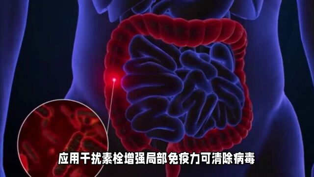 HPV16型是什么