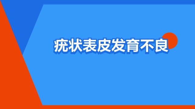 “疣状表皮发育不良”是什么意思?