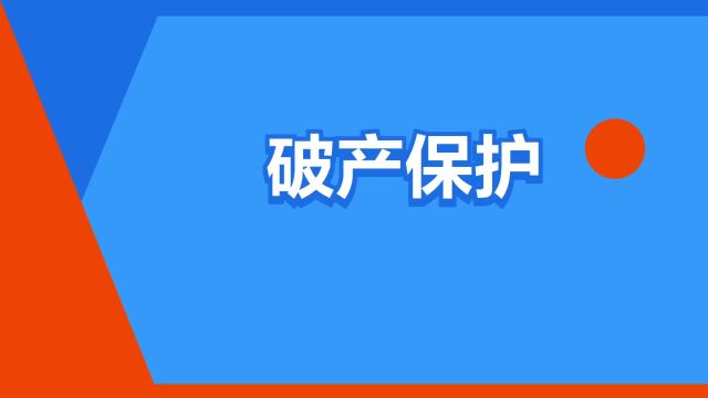 “破产保护”是什么意思?