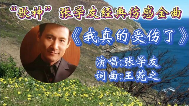 怀旧情歌《我真的受伤了》张学友深情演唱,歌声伤感悦耳,动听歌声唱出了多少人心声!