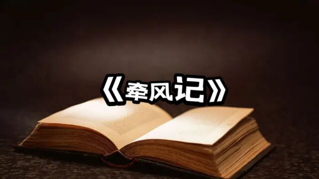 徐怀中新作《牵风记》