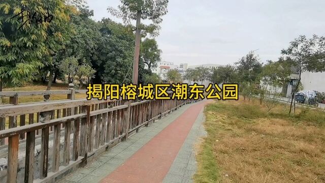 揭阳榕城区潮东公园,老人逗娃娱乐的地方,公园旁边还可以钓鱼