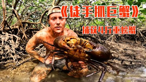 赶海牛人红树林徒手抓螃蟹，捕获4斤重的罕见巨蟹