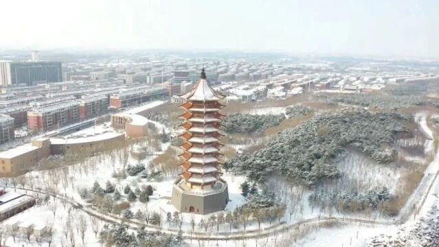 学习强国|金山森林公园 聆听雪落