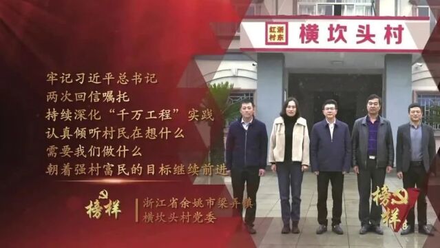 《榜样8》① 浙江省余姚市梁弄镇横坎头村党委:“红绿结合”奔赴共富路