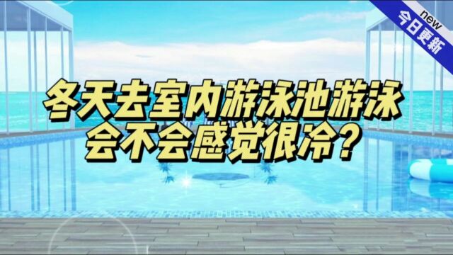 冬天去室内游泳池游泳会不会很冷?