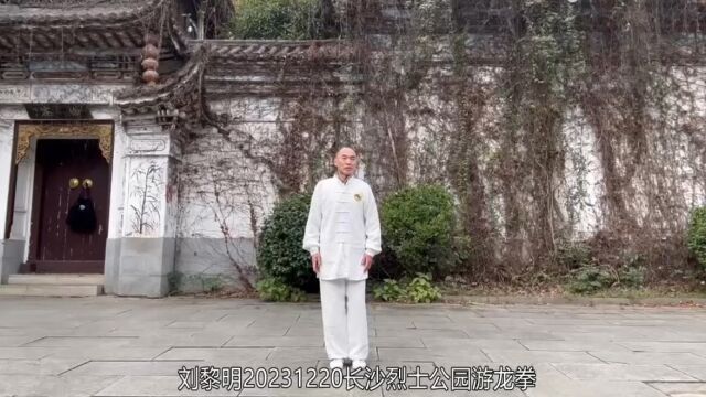 武当太乙游龙拳长沙刘黎明