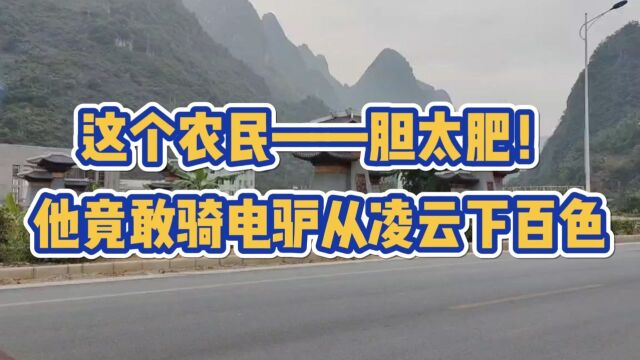 这个农民胆太肥——他竟敢骑电驴从凌云下百色