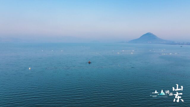 诗画山东丨初冬枣庄岩马湖雾气氤氲 景色如画