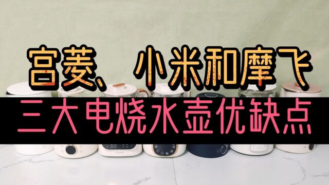 三大王者电烧水壶宫菱、小米和摩飞测评,分析优缺点