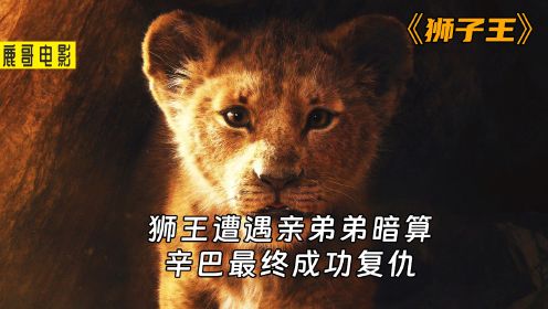 狮王遭遇亲弟弟暗算，辛巴被迫离开狮群，最终复仇成功#狮子王