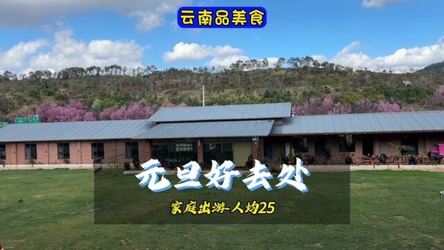 帮你们找到一个元旦出游的好地方#团建聚会 #亲子游玩好去处 #周边游 #农家乐 #烧烤