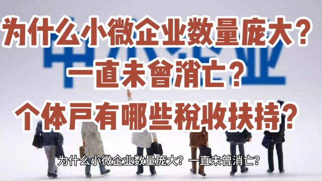 为什么小微企业数量庞大?一直未曾消亡?个体户有哪些税收扶持?