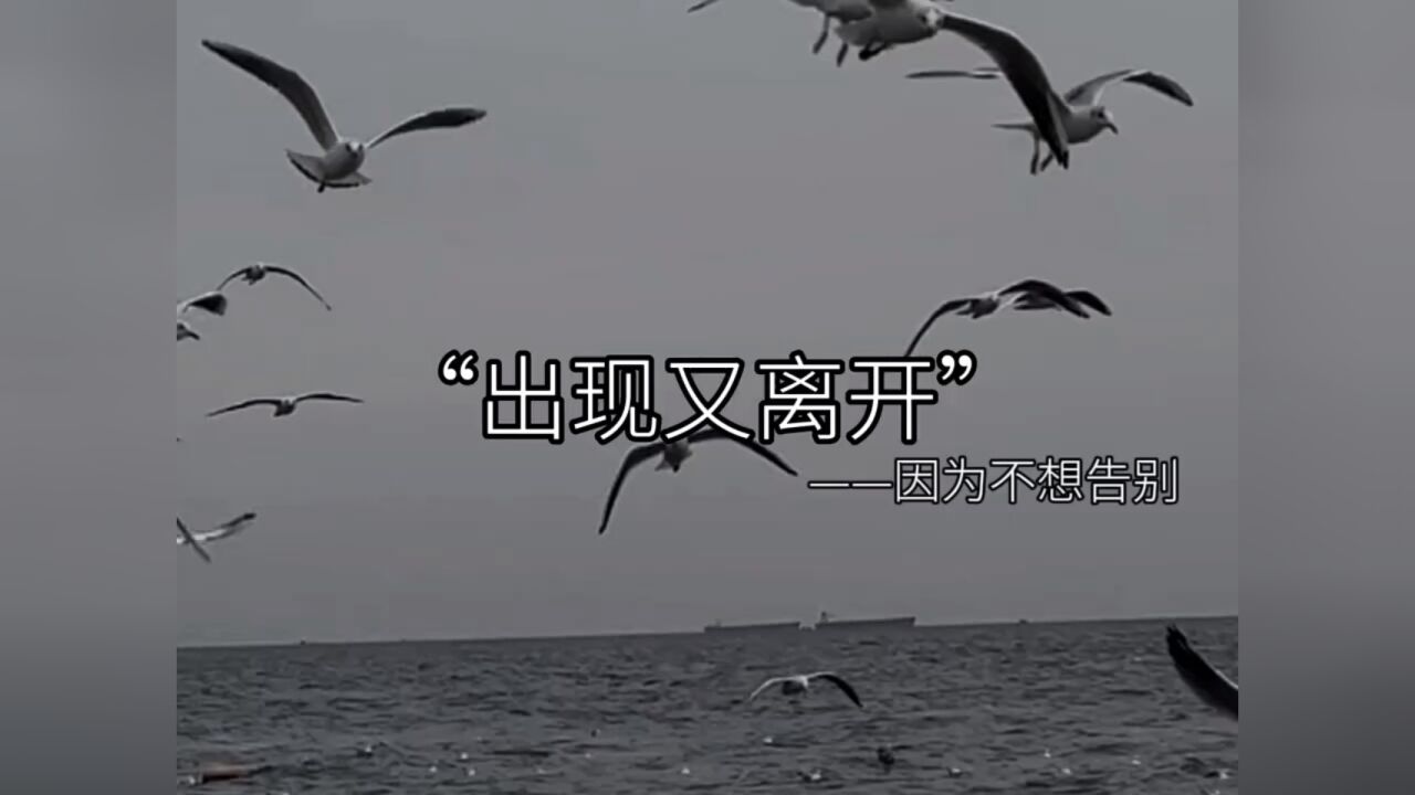 路是两个人走的 我不想独行 我想你一直在我身边#梁博 #出现又离开