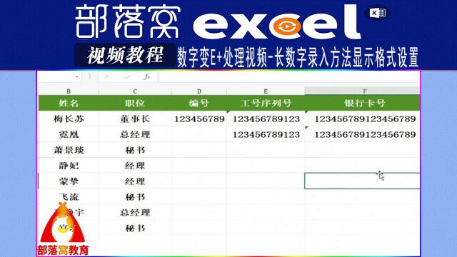 excel数字变E+处理视频:长数字录入方法显示格式设置