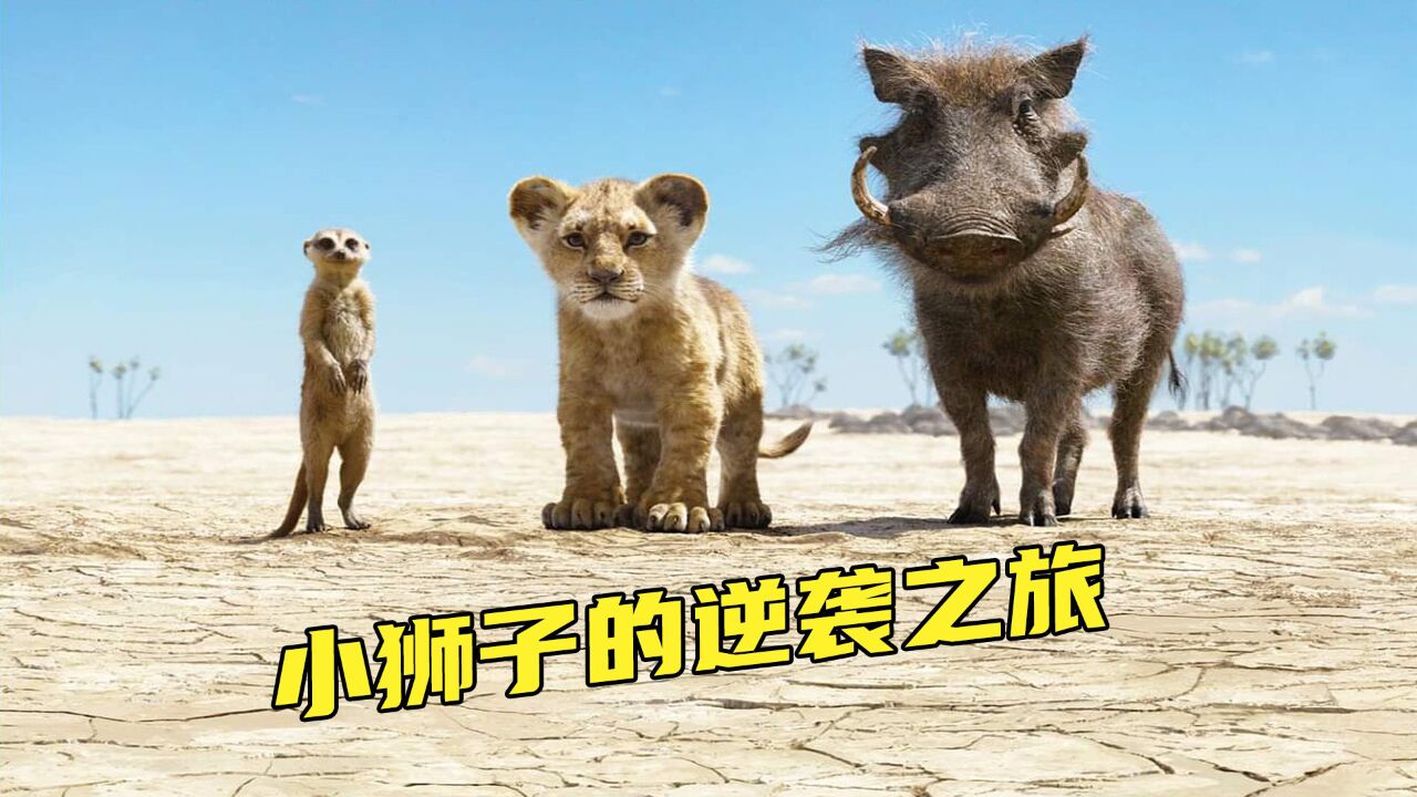 儿时经典巨作《狮子王》真狮版，看完热血沸腾_高清1080P在线观看平台_腾讯视频