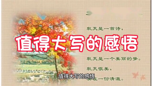 初中优秀作文范文《值得大写的感悟》