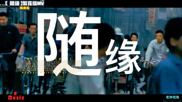 繁花版《随缘》MV