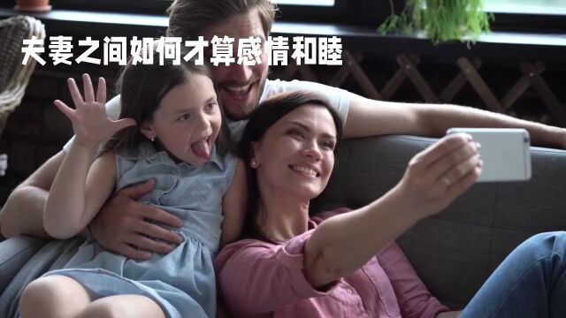 用心经营:维系夫妻和睦的秘诀