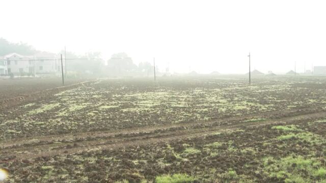 “小田”变“大田” 、“粮田”变“良田”,湘乡市推进高标准农田建设