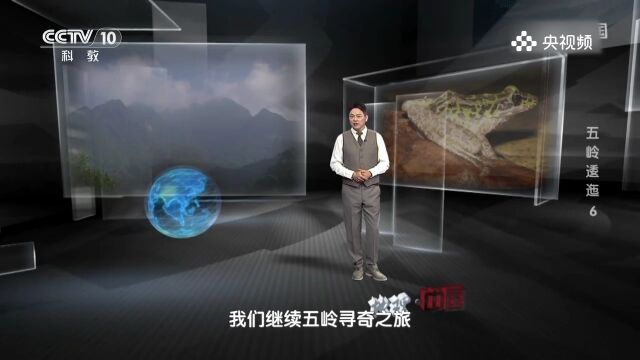 五岭独特的地理位置,孕育了许多本不属于这里的动植物,太神奇了