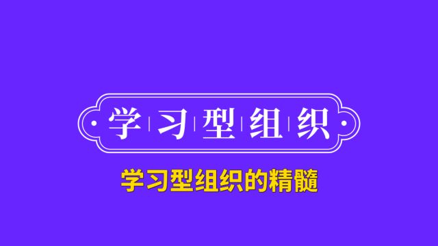 15学习型组织的精髓2