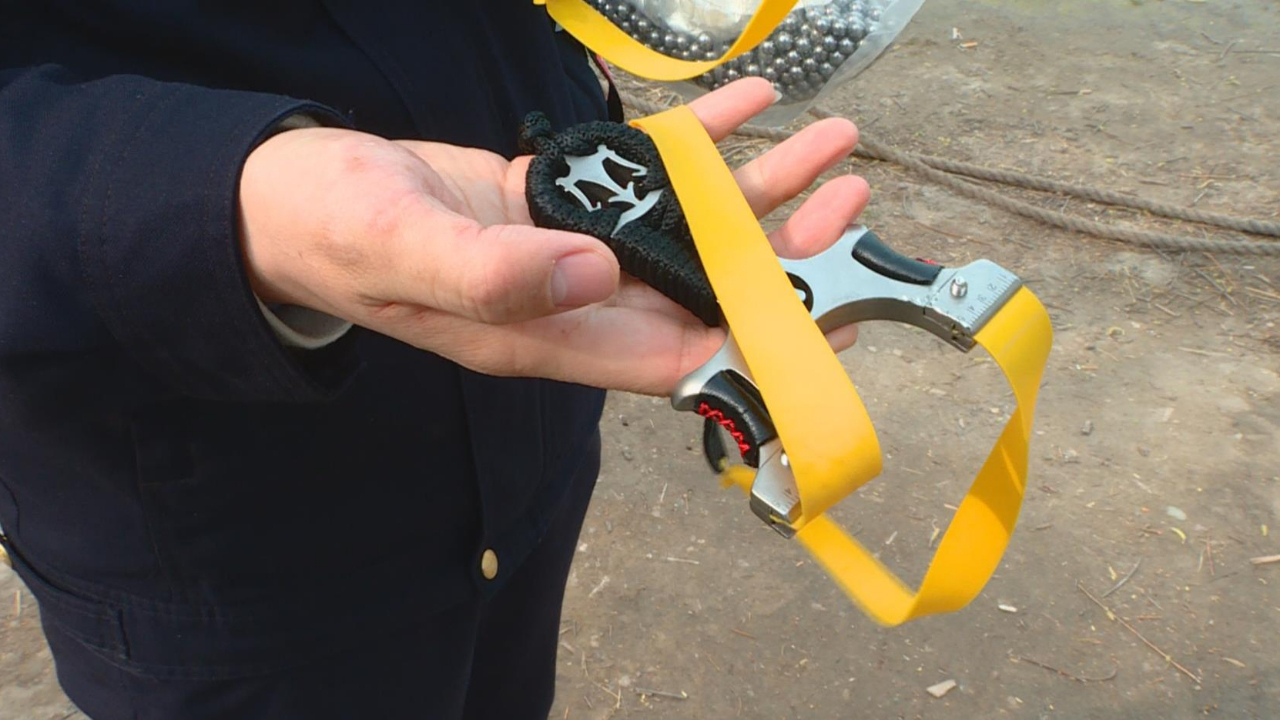 北京奥森公园两男子弹弓打鸟绷鱼被劝离